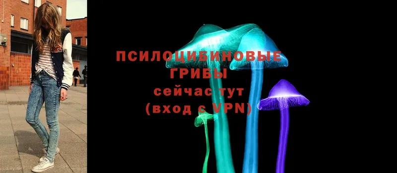 Галлюциногенные грибы Magic Shrooms  цены   Конаково 